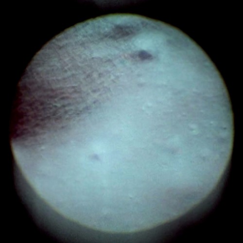 Natural Sympathies - Moon Landing [Pop Quiz 099] June 2 2017