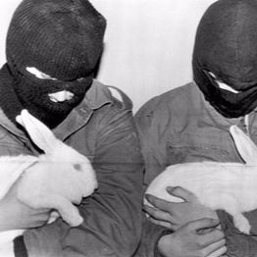 Veganismo Es Guerra O Moda (con grone awkan)