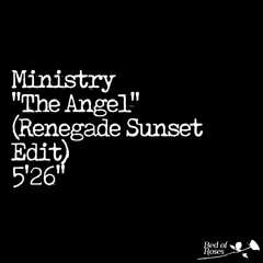 Ministry - The Angel (Renegade Sunset Edit)