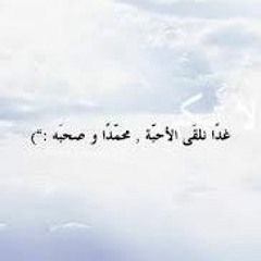 ونلقي الأحبة أبو أيوب الأنصاري عمرو خالد