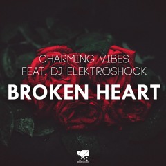 Broken Heart (feat. DJ Elektroshock)