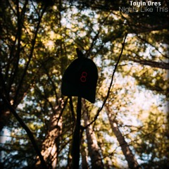 Feel The Same (feat. Lamii)(Prod. Toyin Ores)