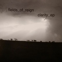 Fields of Reign - The Fabric