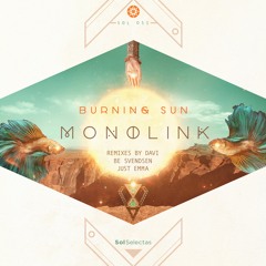 Premiere: Monolink - Burning Sun (Just Emma's Just Take Me Back Mix) [Sol Selectas]