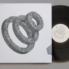 Florian Meindl - Wild Sequence 2 [ FLASH Recordings ]