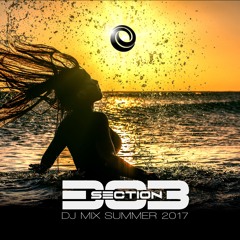 Section303 - Dj Mix Summer 2017 [FREE DOWNLOAD]