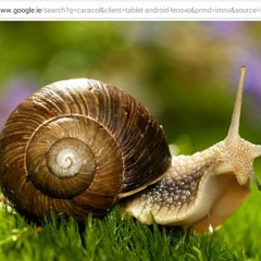 Pauline & Jayro - I Got You Under My Skin