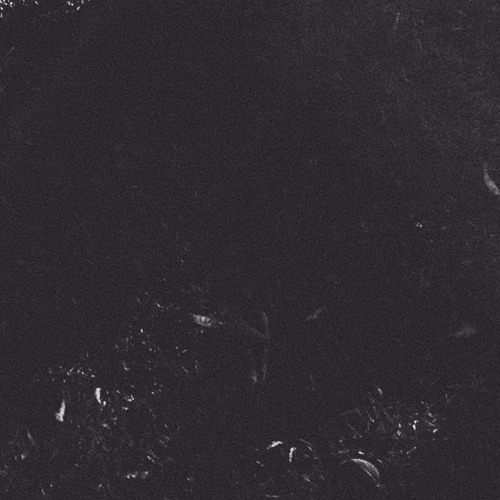Wander