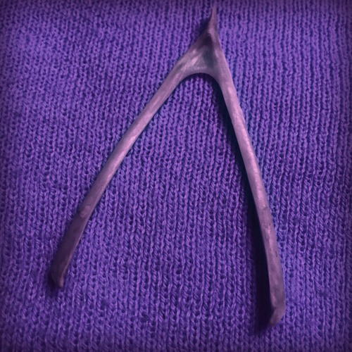 Wishbone