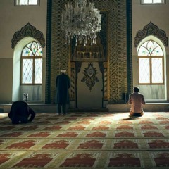عايزين نصلي صح                        دكتور حازم شومان❤