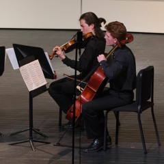 String Quartet No. 1 by Edvard Grieg - Movement I. Un poco Andante - Allegro molto ed agitato