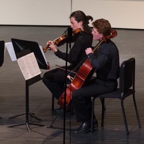 String Quartet No. 1 by Edvard Grieg - Movement I. Un poco Andante - Allegro molto ed agitato