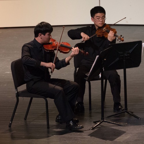 String Quartet No. 1 by Edvard Grieg - Movement II. Romanze - Andantino