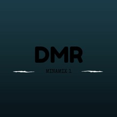 DMR- Minamix 1