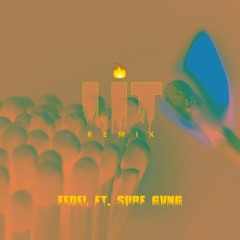 FEDEL - Lit (Remix) ft. Surf Gvng