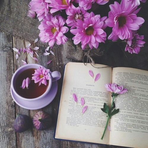 يا أجمل الأنبياء | الأخوة أبو شعر ~ 🌸