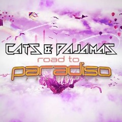 Road To Paradiso 2017 Mix - Cats & Pajamas