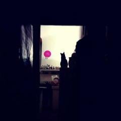 Au Calme feat KOSMO