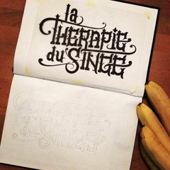 Rap Médecine (Official Music Video on Youtube)