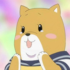 Shiba Ranks
