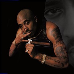 2 PAC - Assassins Remix feat. Page Kennedy produced by: Mic West