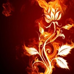 Majorgoals Prod.ThaoZA