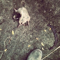 Broke As Fuck (Prod. by BenihanaBoiBeats)