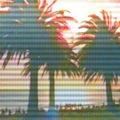 ⓟⓐⓛⓜⓩ[🌴🌴]