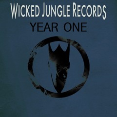 Self Aware - Icarus 2 - Wicked Jungle Recs Year One