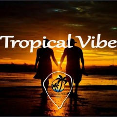 TROPICAL VIBE( DΔRK VEINS FT HKN)