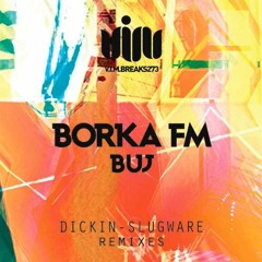 VIMBREAKS273 BORKA FM-BUJ(Dickin Remix)
