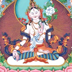Tonglen Meditation 2 - Connecting with Buddha Nature