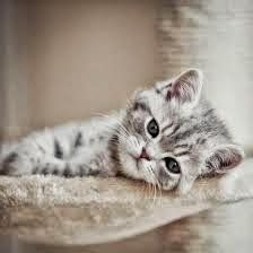 Noah Andaikan Kau Datang Kembali Akustik Cover Dicky Ab By Dicky Adha Bimantara Noah Andaikan Kau Datang Kembali Akustik Cover Dicky Ab By Dicky Adha Bimantara