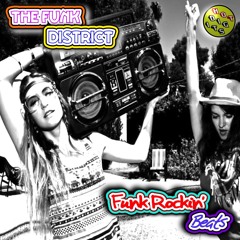 HOTDIGIT034 The Funk District -Rock On (Preview)