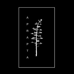 Herman Saiz - Aprapta Music Podcast 09