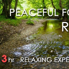Relaxing River Sounds -Peaceful Forest River -3 Hours sleep or concentrate