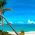 Artwork for Calming Sea Ocean waves - Relaxing 2 Hours - Birds Singing