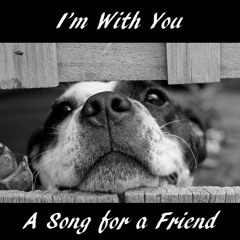 I'm With You (with Brad Hopkins)
