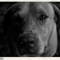 Blue Devil (Acoustic)