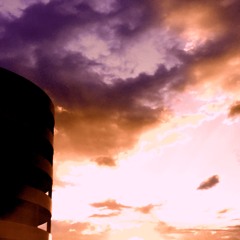 sunny day service - オレンジ orange