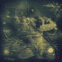 Contraste Entre la Masa y el Ser