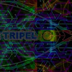 FLIPPER TRIPEL - Chill dance