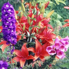 When I Stop Dreaming