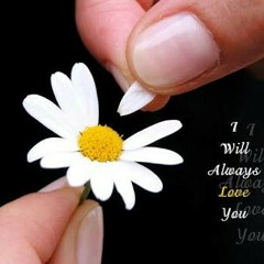 Wo dil hi kya Teryy milnyy ki ... ❤