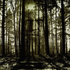 Broken Contract 030617