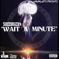 Wait A Minute Freestyle