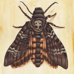 La Muerte Es Necesaria