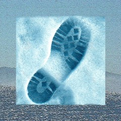 Canapé X Shetland - 冬 Fuyu