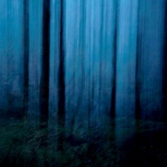 I dance with my thought of you in the freezing wind (2017)