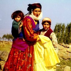 Mihemed Şexo - Gulizar